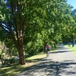A cyclist cycling at Shirlington Park