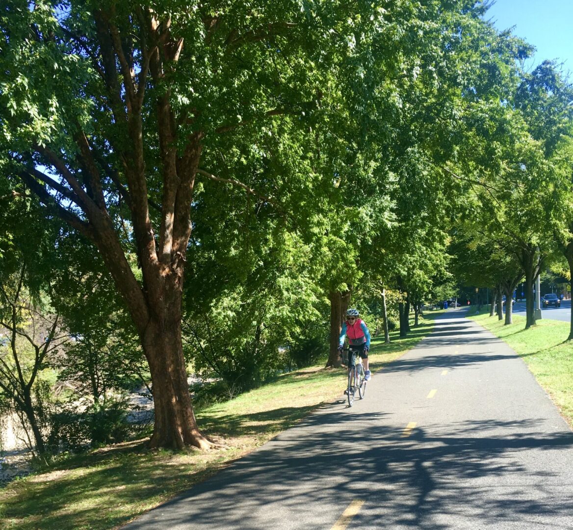 Shirlington Park, Past and Present
