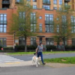 A woman walking wiht her dog and a building