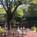 Long shot of the village street, tree, and white chairs